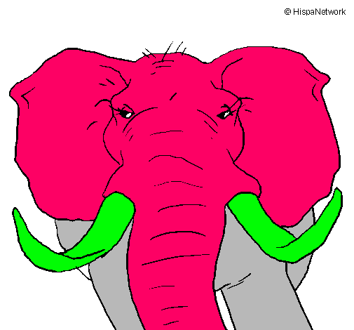 Elefante africano