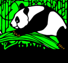 Dibujo Oso panda comiendo pintado por adfs