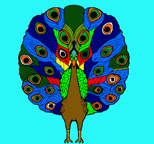 Pavo real