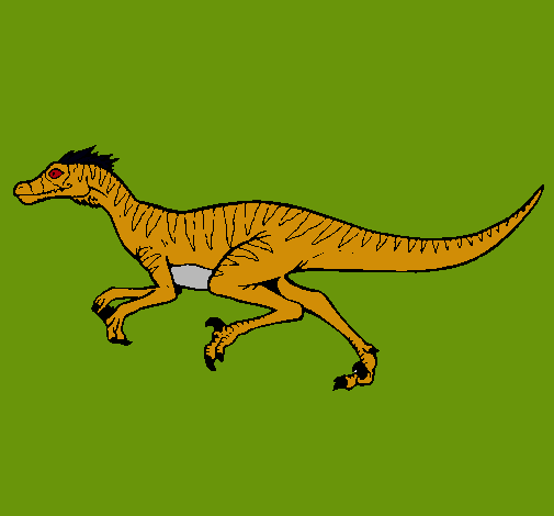 Velociraptor