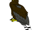 Dibujo Águila pintado por graciosa