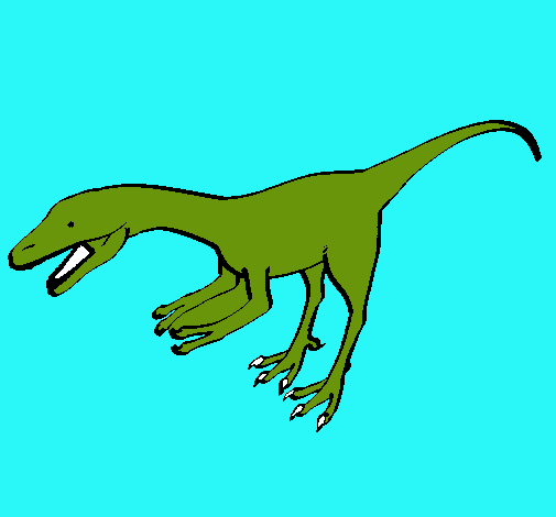 Velociraptor II