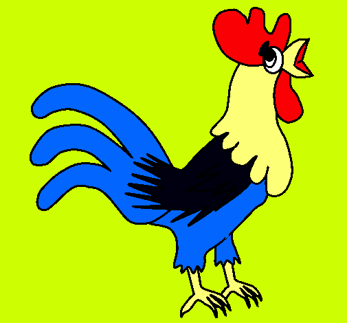 Gallo