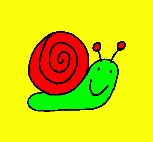 Caracol 4