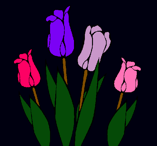 Tulipanes