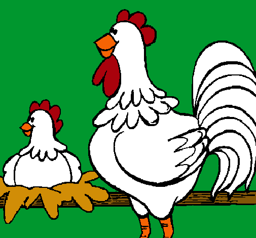 Gallo y gallina