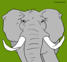 Dibujo Elefante africano pintado por MONOSS