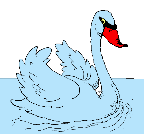 Cisne en el agua