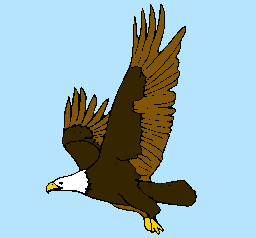 Dibujo Águila volando pintado por lani
