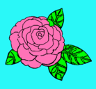 Dibujo Rosa pintado por correa