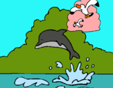 Dibujo Delfín y gaviota pintado por NIKOLO
