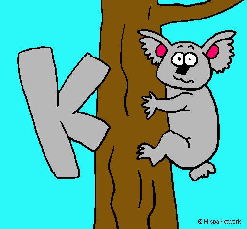 Koala