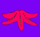 Dibujo Estrella de mar pintado por isadela
