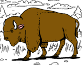 Dibujo Búfalo  pintado por buuubbbbbbb