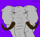 Dibujo Elefante africano pintado por rumad