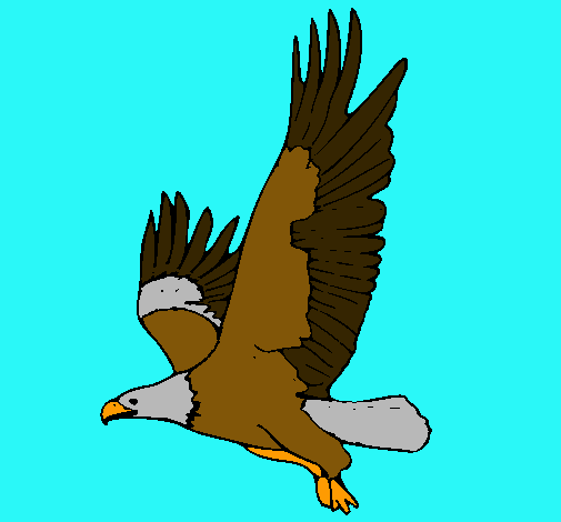 Águila volando