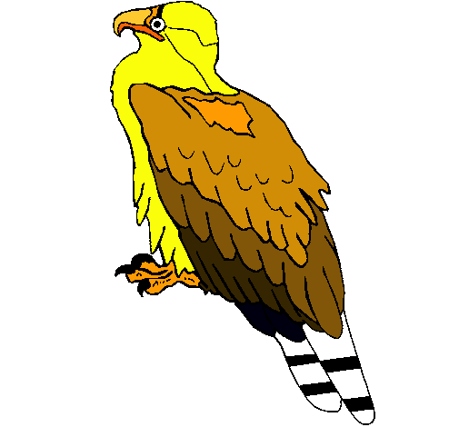 Águila