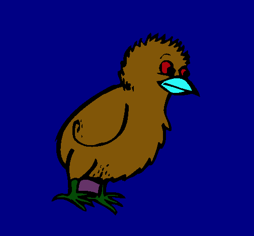 Pollito