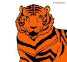 Dibujo Tigre pintado por maximus73