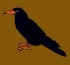 Dibujo Cuervo pintado por cuervo 