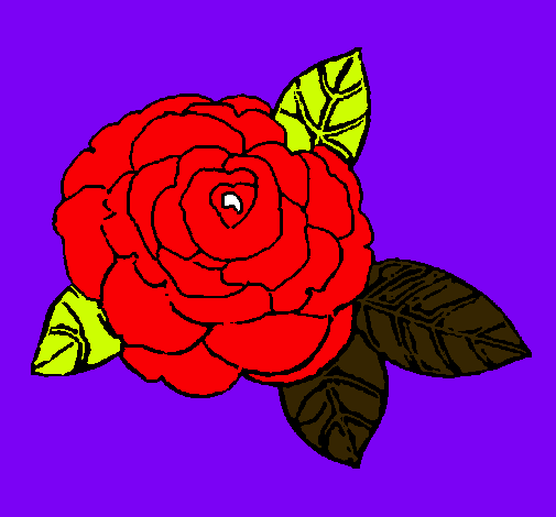 Dibujo Rosa pintado por natilla