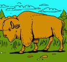 Dibujo Búfalo  pintado por bbbbbbbbbbbb