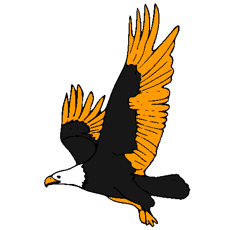 Águila volando