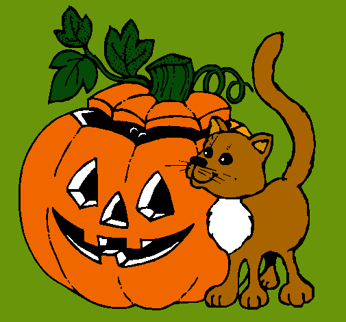 Calabaza y gato