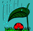 Dibujo Mariquita protegida de la lluvia pintado por 856568756845
