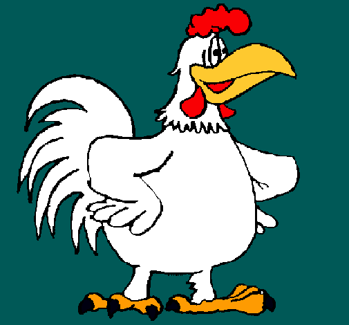 Gallo