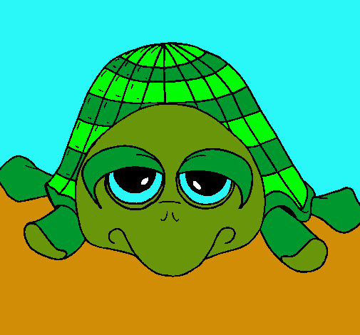 Tortuga