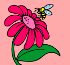 Dibujo Margarita con abeja pintado por valen10