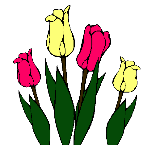 Tulipanes