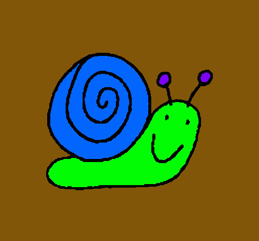 Caracol 4