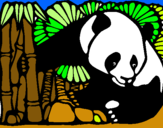 Dibujo Oso panda y bambú pintado por lulilu
