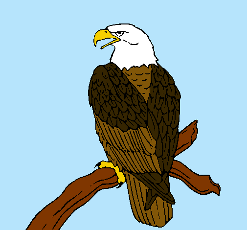 Dibujo Águila en una rama pintado por lani