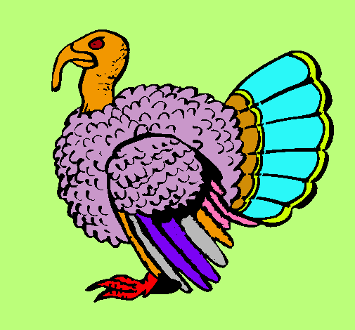 Pavo 