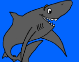Dibujo Tiburón alegre pintado por tiburon