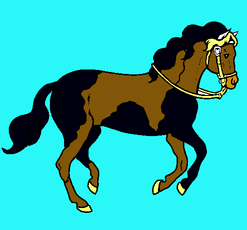 Caballo 5