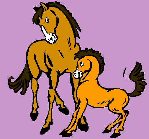 Caballos