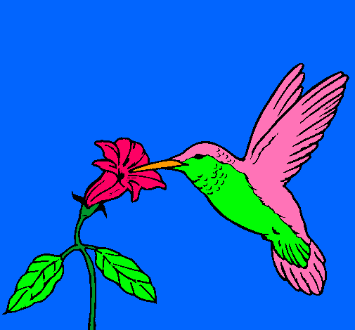 Colibrí y una flor