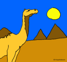 Dibujo Camello pintado por chea