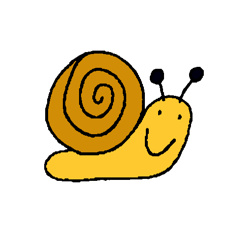 Caracol 4