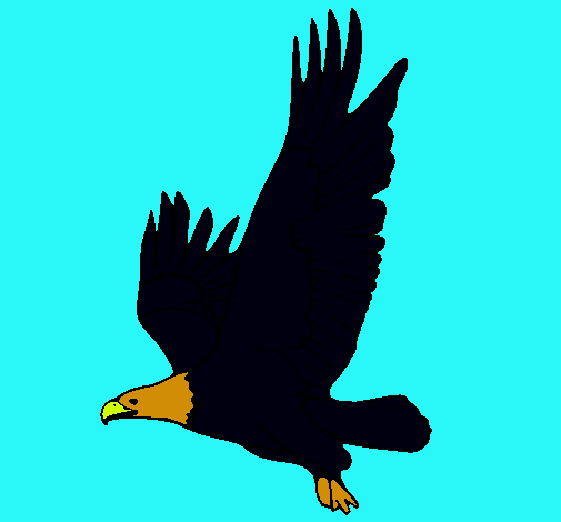 Águila volando