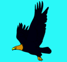 Dibujo Águila volando pintado por lautaro