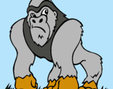 Dibujo Gorila pintado por anggel