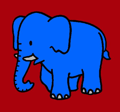 Elefante bebe