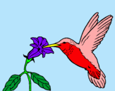 Dibujo Colibrí y una flor pintado por camix