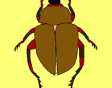 Dibujo Escarabajo pintado por francesc