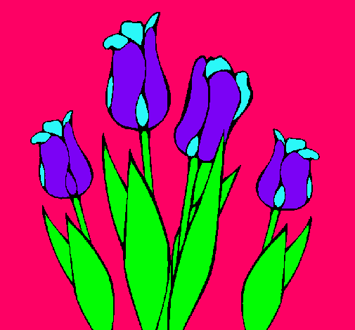 Tulipanes